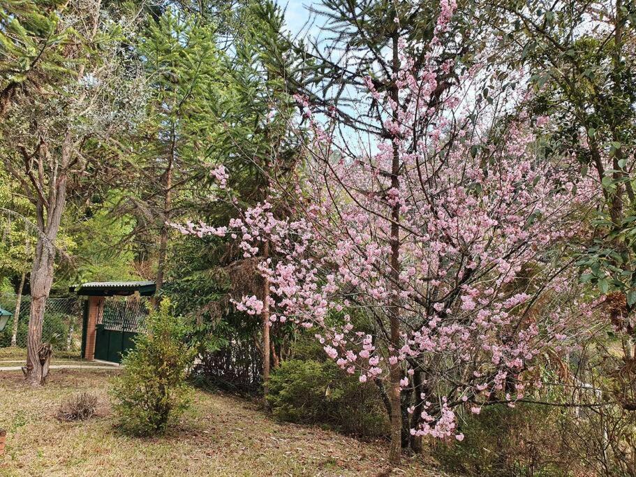 Campos do Jordão Casa Da Nanna Campos 빌라 외부 사진